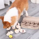 Eggs Snuffle Toy