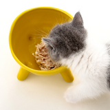 FurBub Chubby Ceramic Feeding Bowls