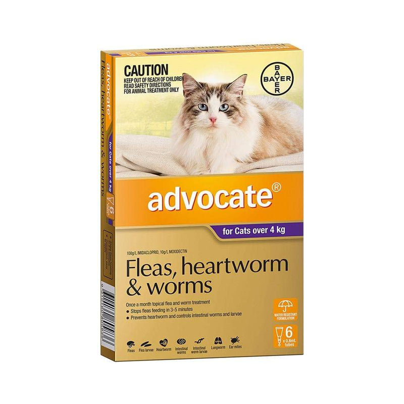 ADVOCATE Purple Large Cat Over 4KG 6 Pack