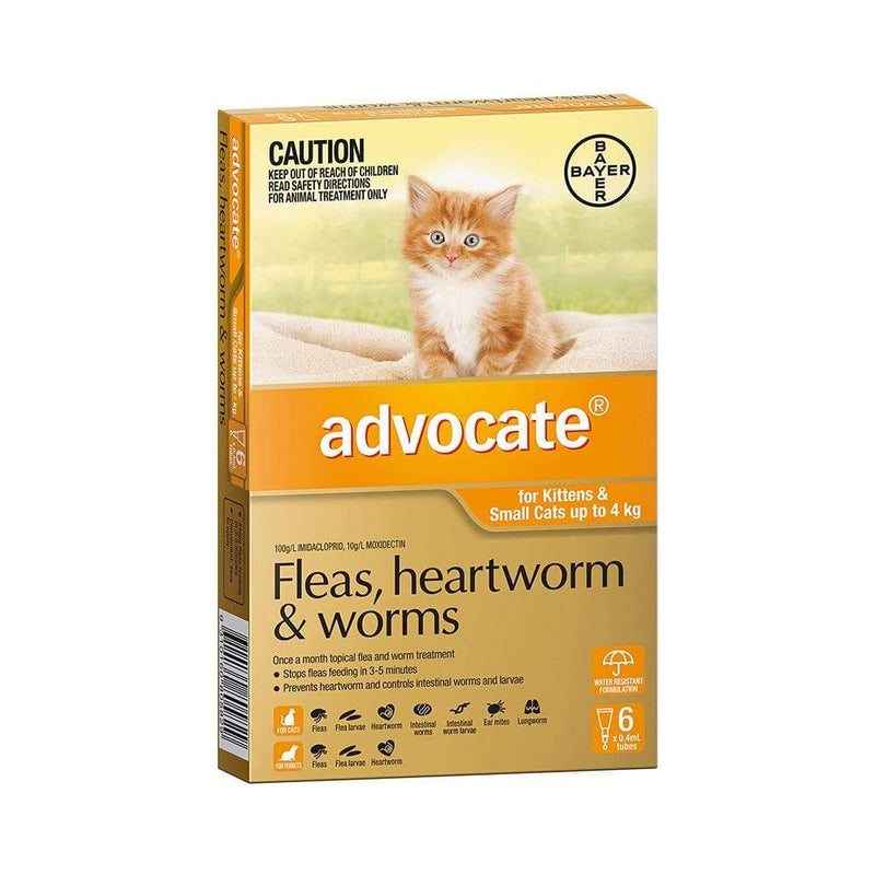 Advocate Cat Kitten Flea and Worming treatment | PawzUp Australia Sydney