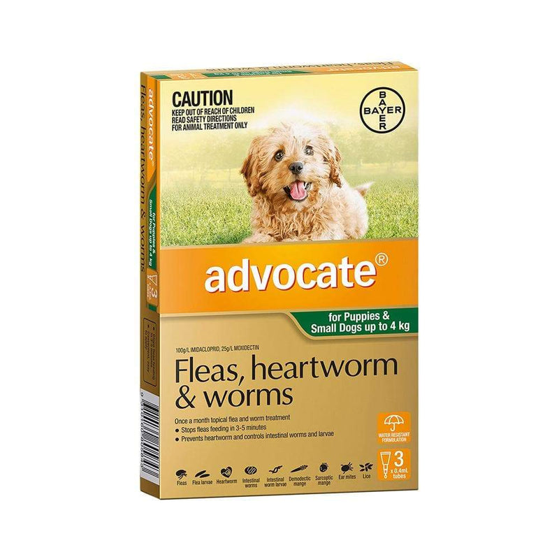 Flea and worming puppies shop