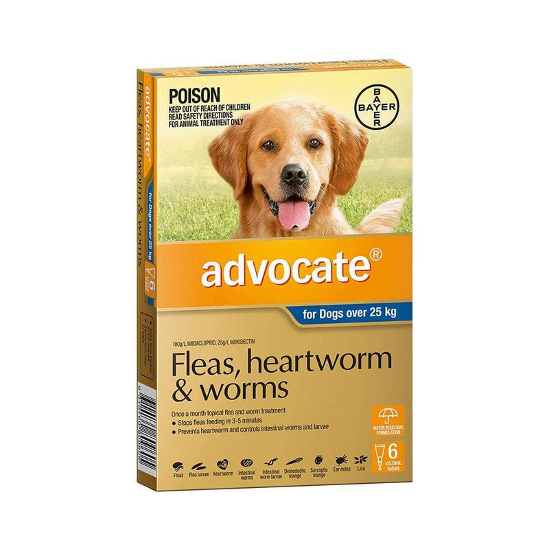 ADVOCATE Blue Extra Large Dog Over 25KG 6 Pack