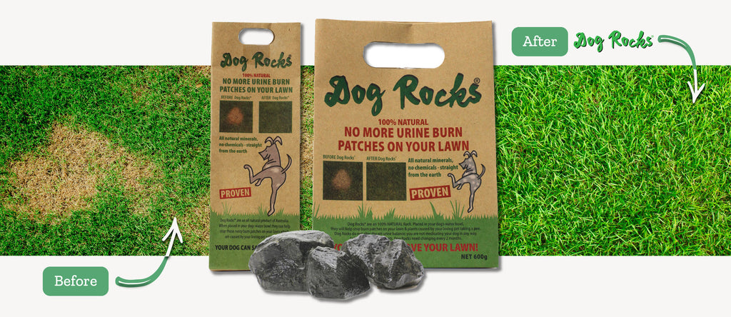 Dog Rocks - Lawn-Saving Rocks