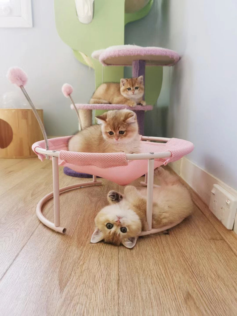 Elevated Pet Bed with Spring Pompom