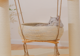 (Pre-Order) MUSHE Solid Wood Cat Tree with Hammock Bed 75cm