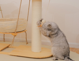 (Pre-Order) MUSHE Solid Wood Cat Tree with Hammock Bed 75cm