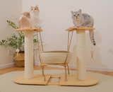 (Pre-Order) MUSHE Solid Wood Cat Tree with Hammock Bed 75cm