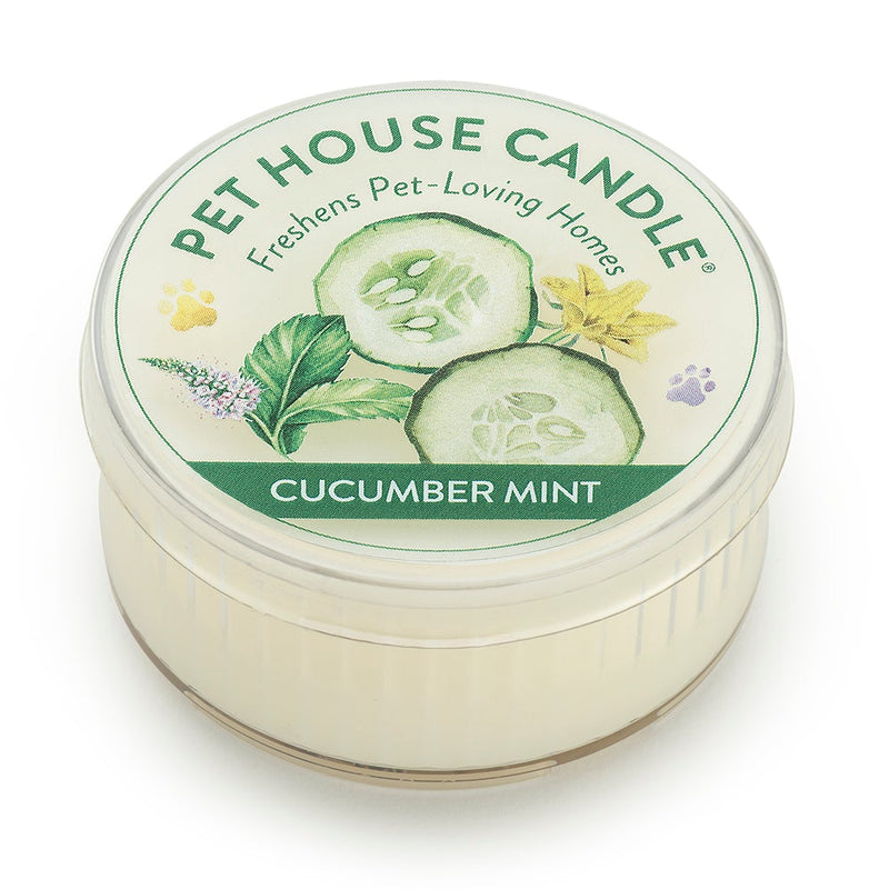 One Fur All Pet House Mini Candle (Cucumber Mint)