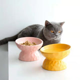 FurBub Elevated Ceramic Cat Bowl