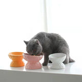 FurBub Elevated Ceramic Cat Bowl