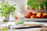 Fresh Citrus Candle Pet House Candles - One Fur All