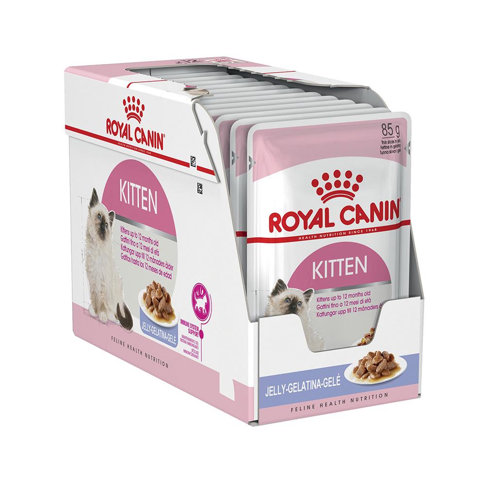 ROYAL CANIN Kitten Jelly Wet Cat Food 12 x 85G