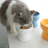 FurBub Raised Ceramic Cat Bowl | PawzUp Pet Supplies | Free Shipping | Lowest Price | Sydney | Best Cat Bowl Best Dog Bowl |