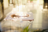 JoyCat Cat Window Perch with Clear Scoop