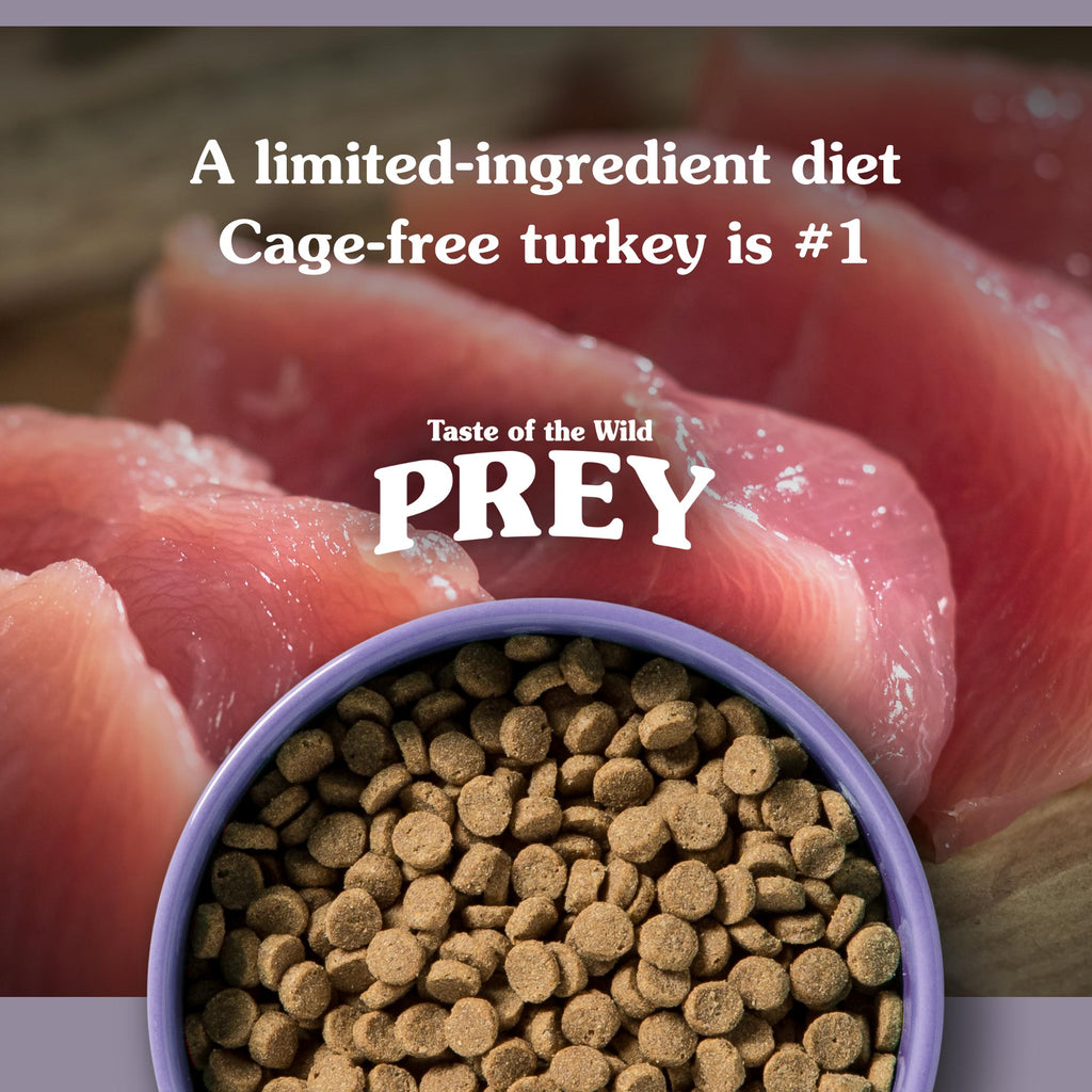 Taste of the Wild PREY Turkey Dry Cat Food - PawzUp