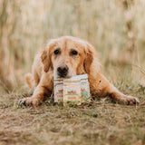 Wag Yoghurt Drops Carob Dog Treats 250g - PawzUp Pet Supplies | Free Shipping | Lowest Price | Best Dog Treats | Sydney Based Online Petshop |