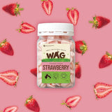Wag Yoghurt Drops Strawberry Dog Treats 250g - PawzUp Pet Supplies | Free Shipping | Lowest Price | Best Dog Treats | Sydney Based Online Petshop |