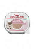 ROYAL CANIN Mother & Babycat 24 x 100G
