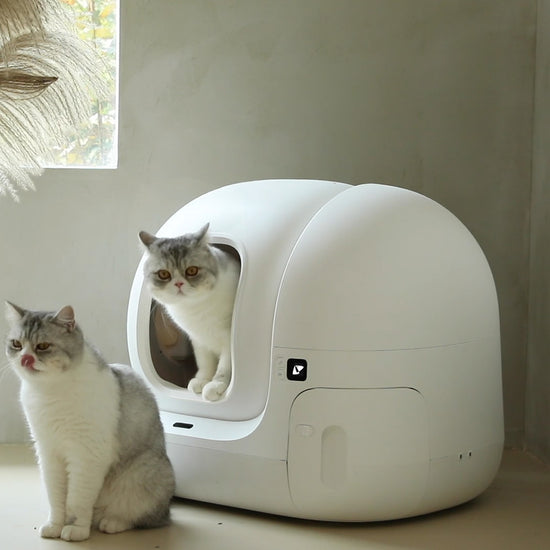 PETKIT Pura Max Automated Self-Cleaning Cat Litter Box