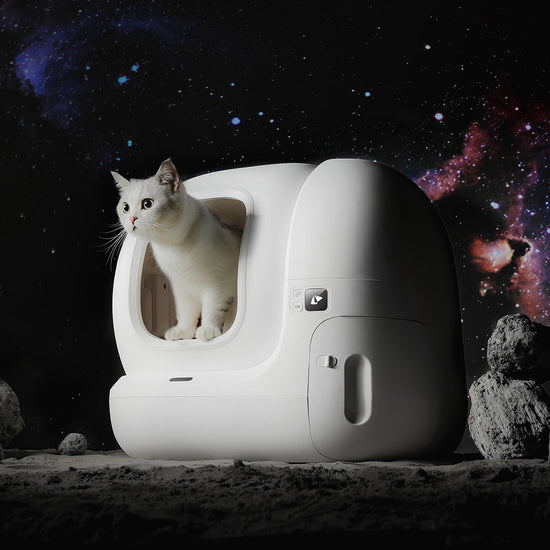 PETKIT Pura Max Automated Self-Cleaning Cat Litter Box