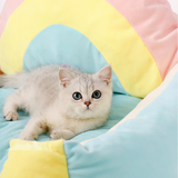 FurBub Rainbow Bed