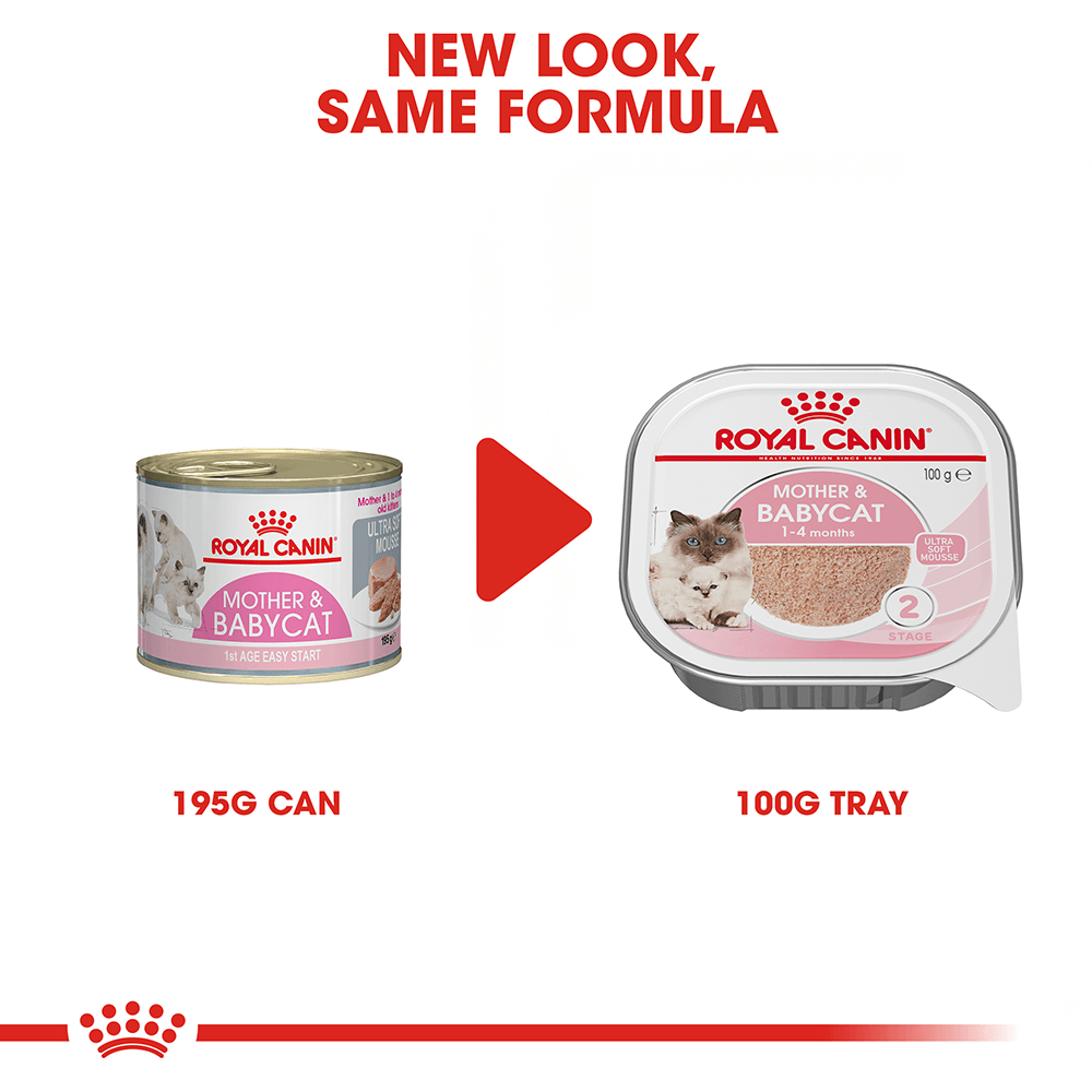 ROYAL CANIN Mother & Babycat Wet 100G
