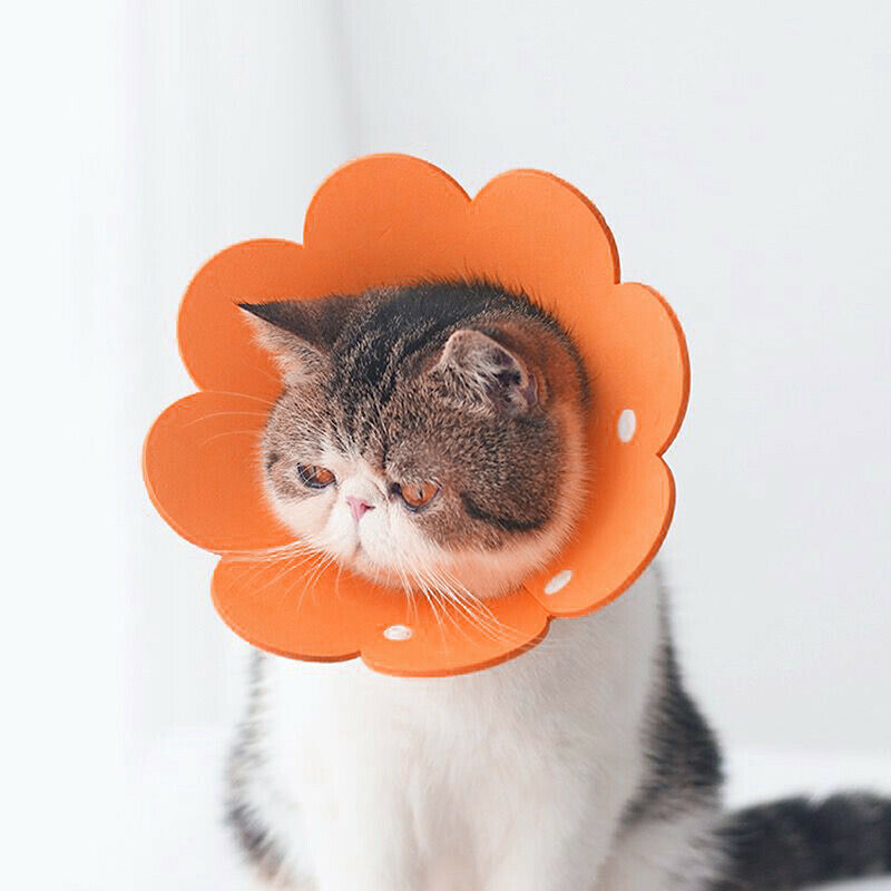 FurBub Elizabeth Collar